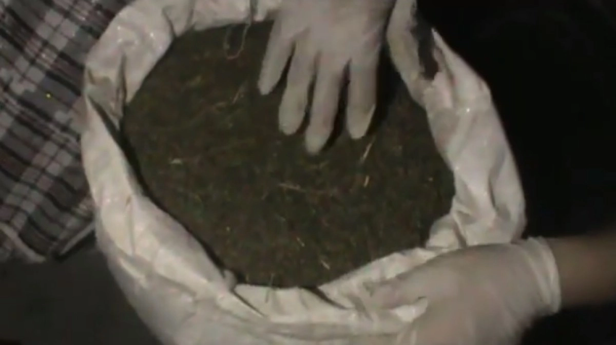Кадр из видео