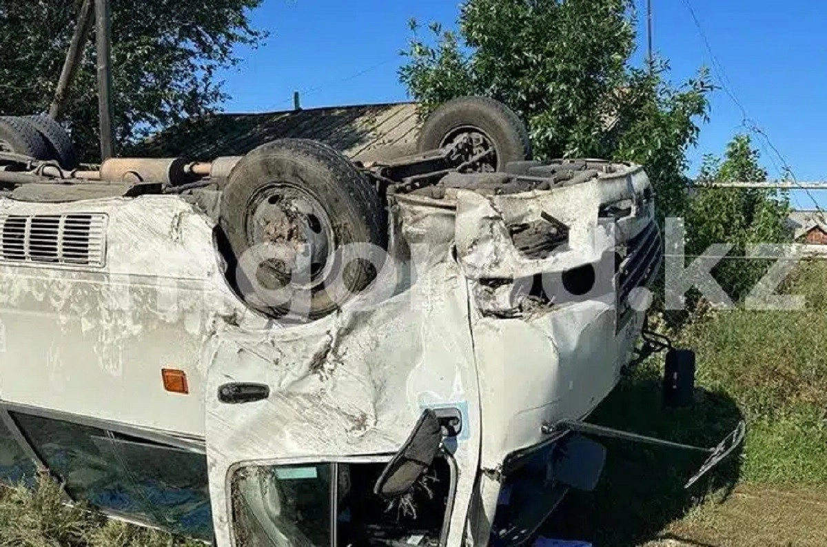 Фото: Мой город