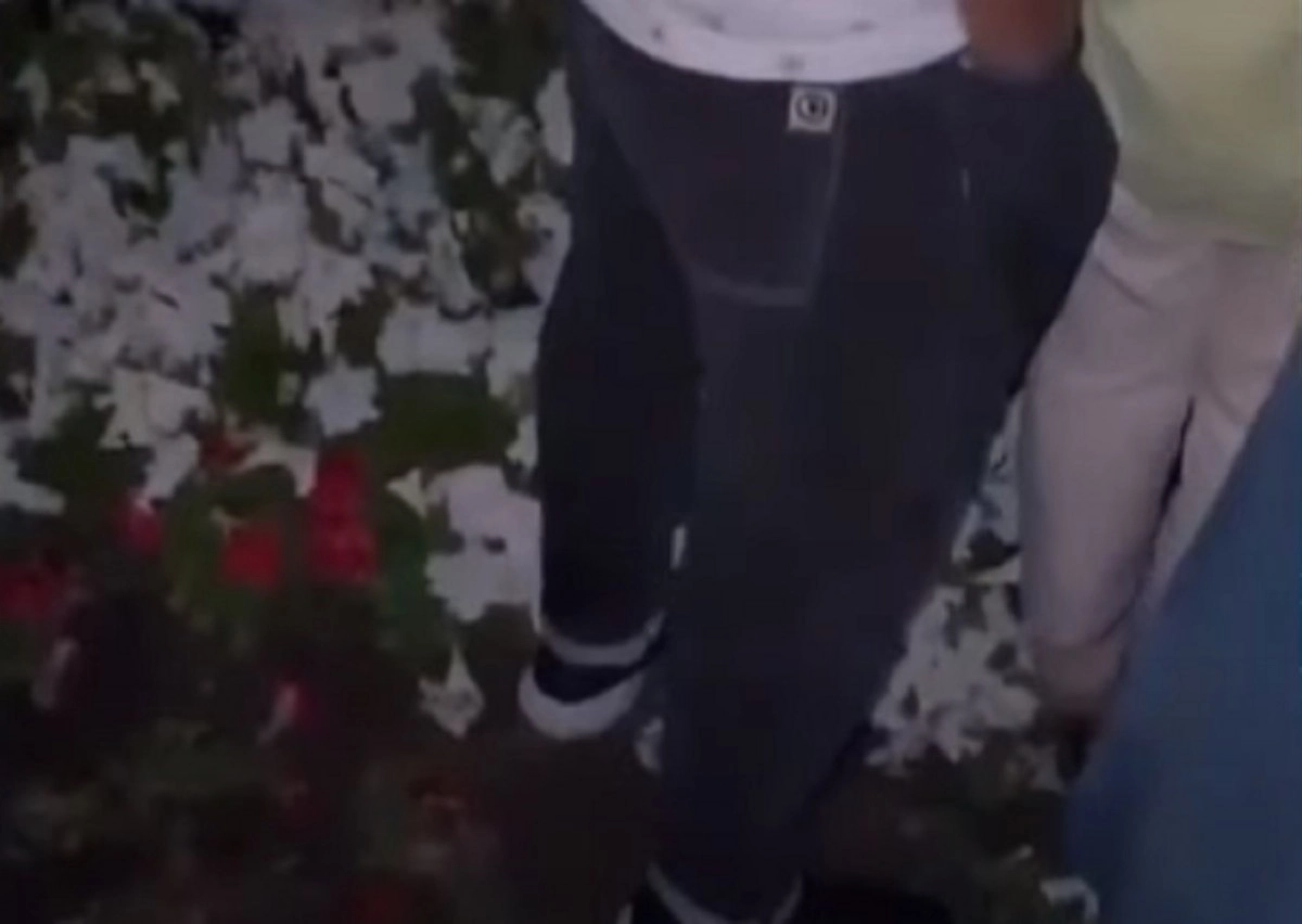 Кадр из видео