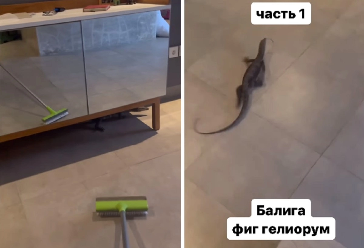 Кадр из видео