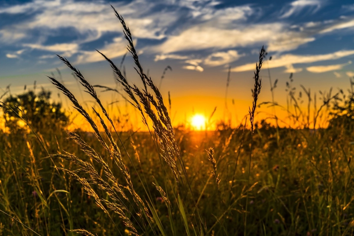 Фото: Рixabay.com