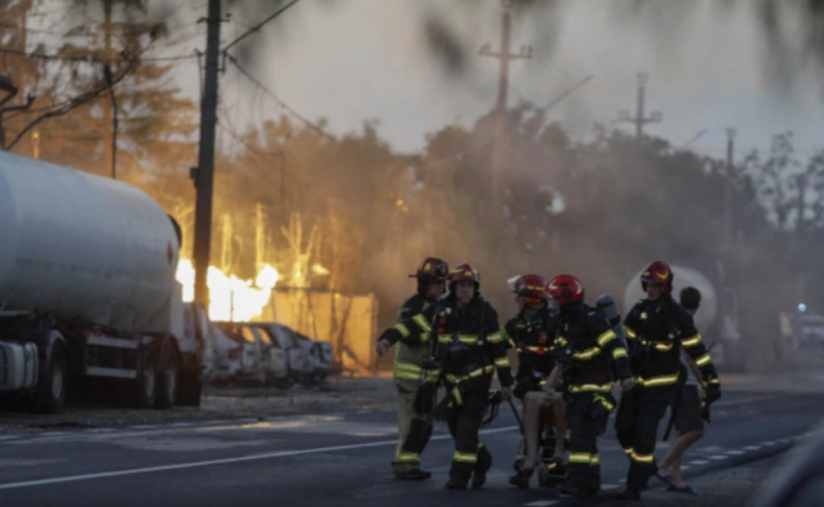 Фото: Octav Gania