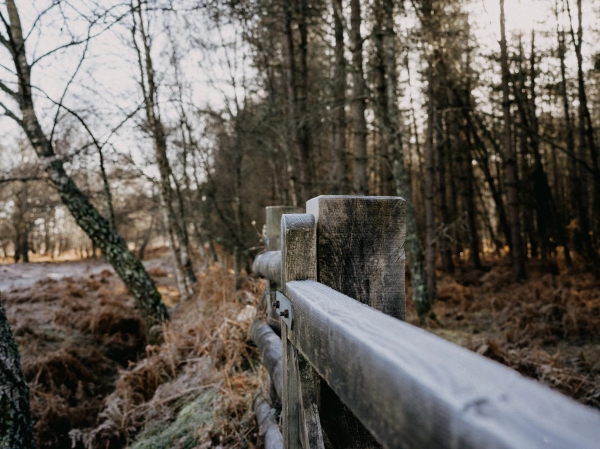 Фото: Unsplash