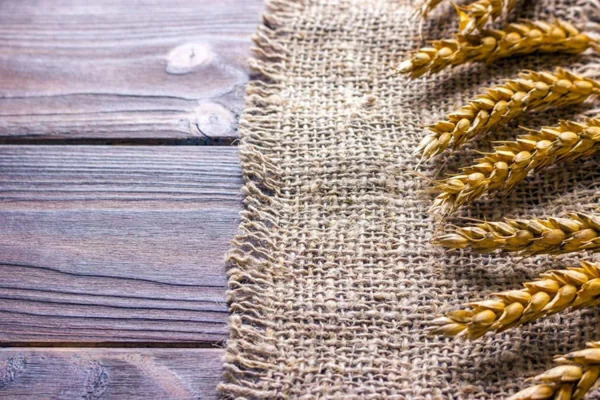 Фото: depositphotos.com