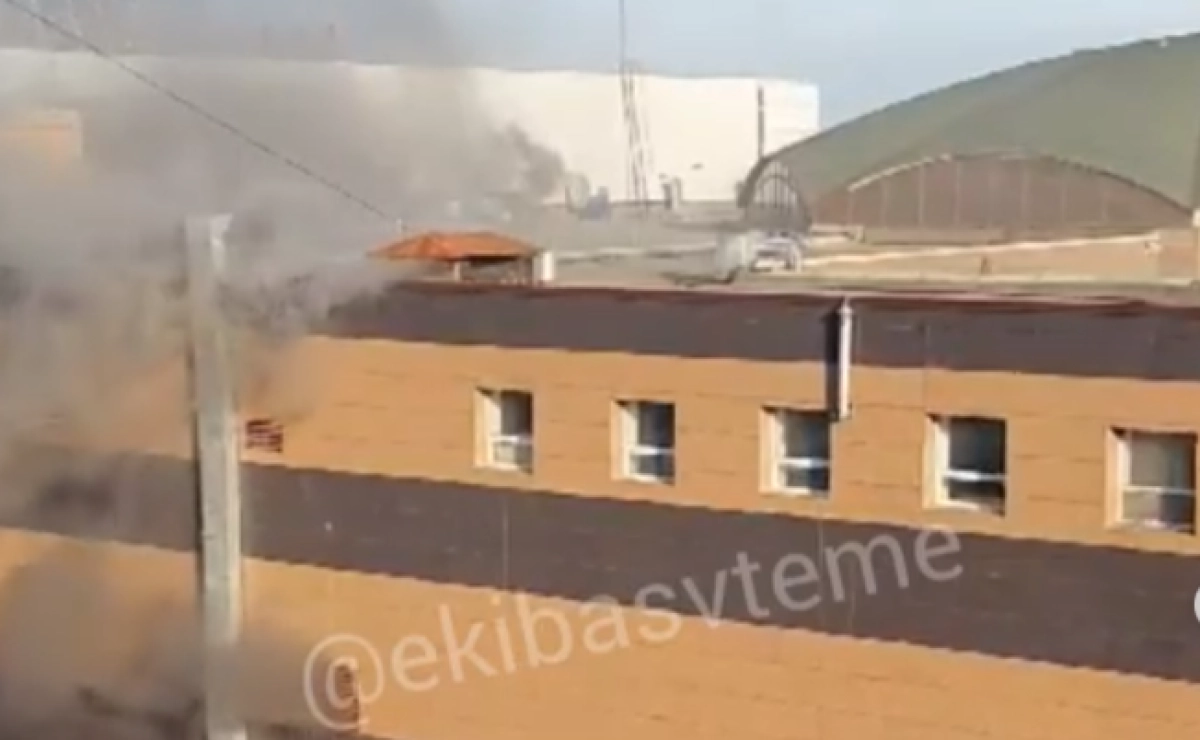 Фото: кадр из видео