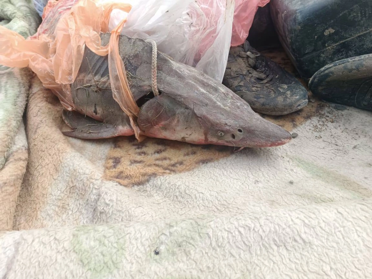 Фото: Polisia.kz