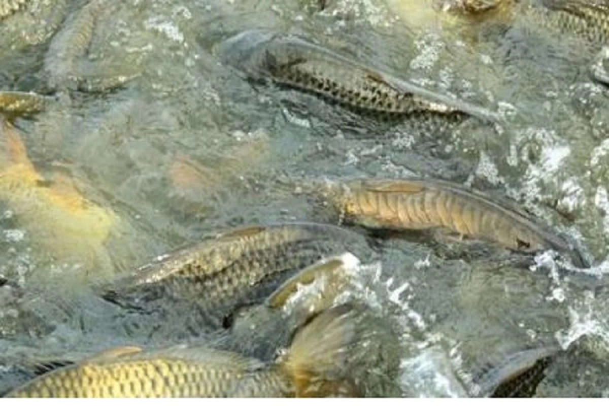 Фото: пресс-служба правительства