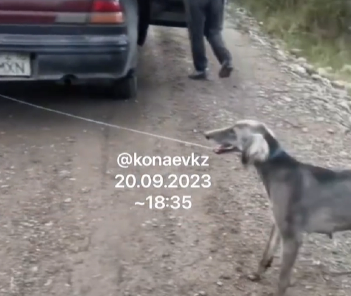 Кадр из видео/Instagram @konaevkz