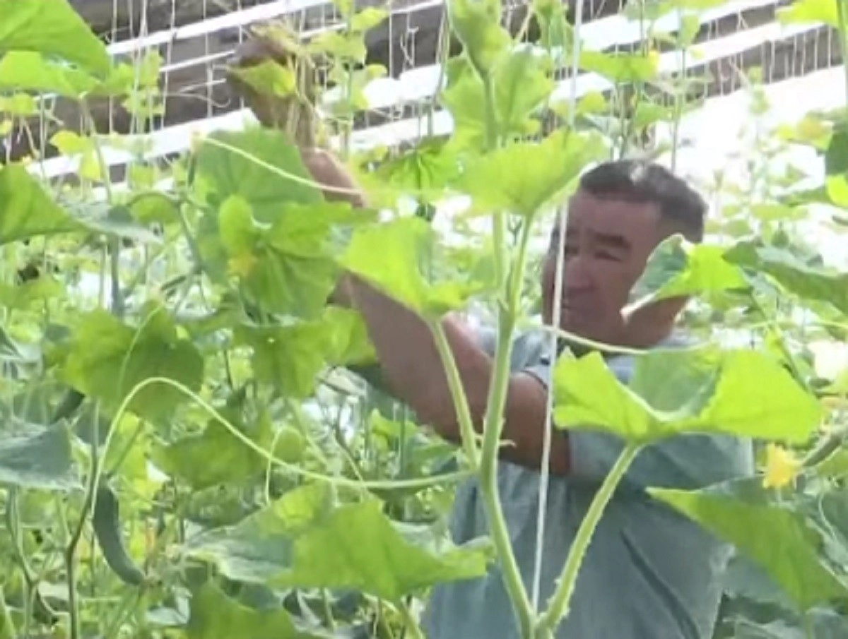 Кадр из видео