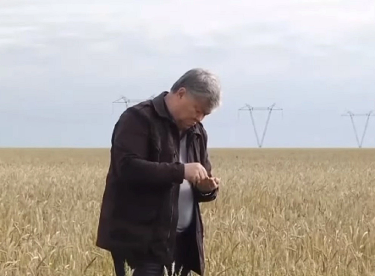 Кадр из видео