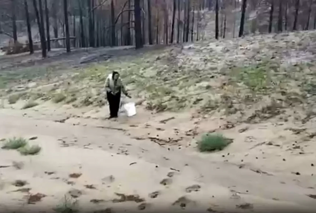 Кадр из видео: t.me/POLICE_of_KZ