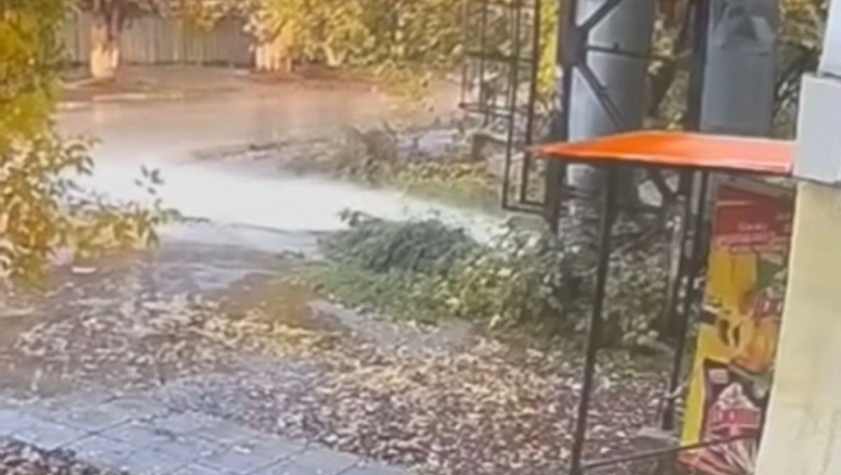 Фото: кадр из видео