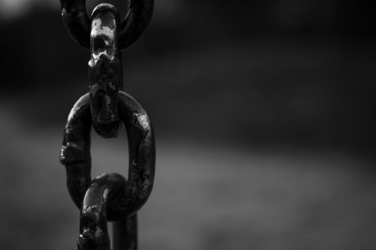 Фото: pexels