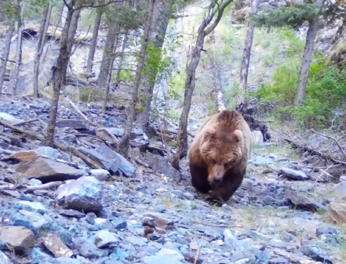 Кадр из видео