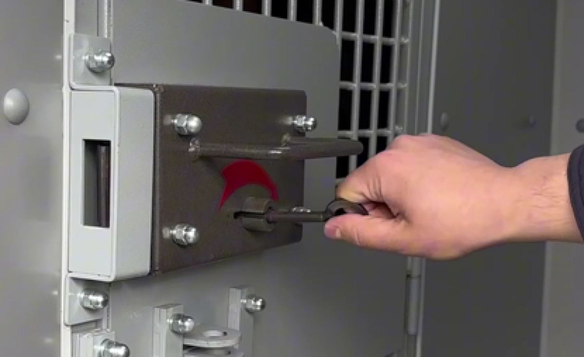 Кадр из видео/ АФМ