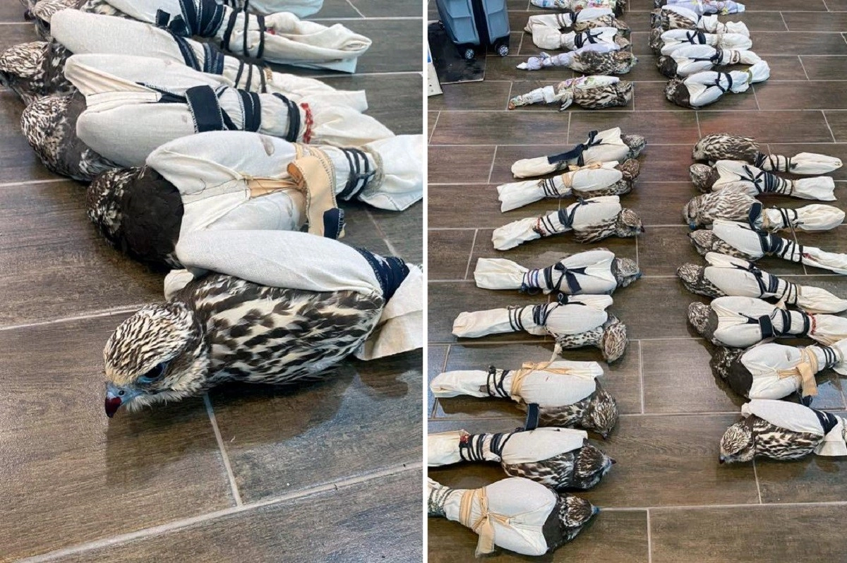 Фото: КНБ РК