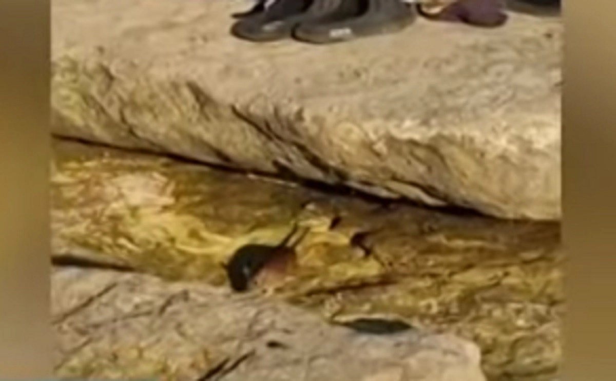 Кадр из видео