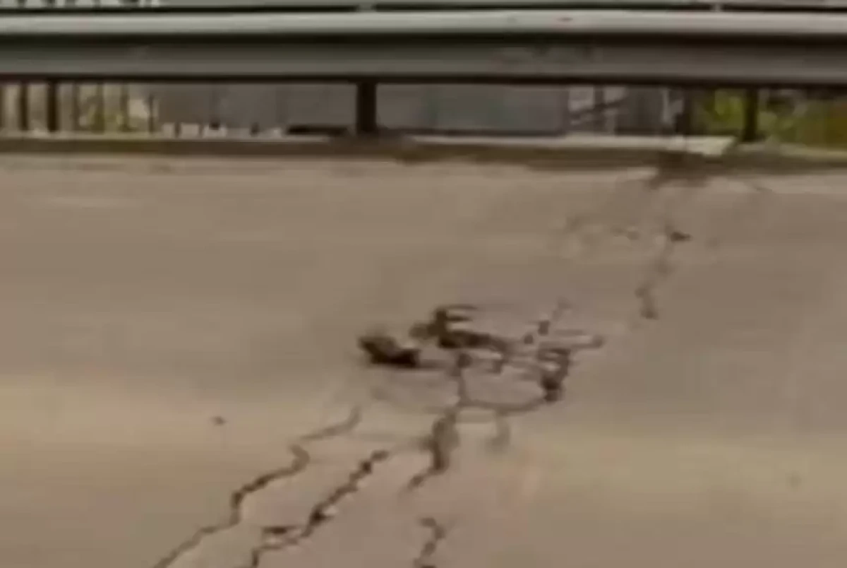 Фото: instagram.com/za_rulem_petro