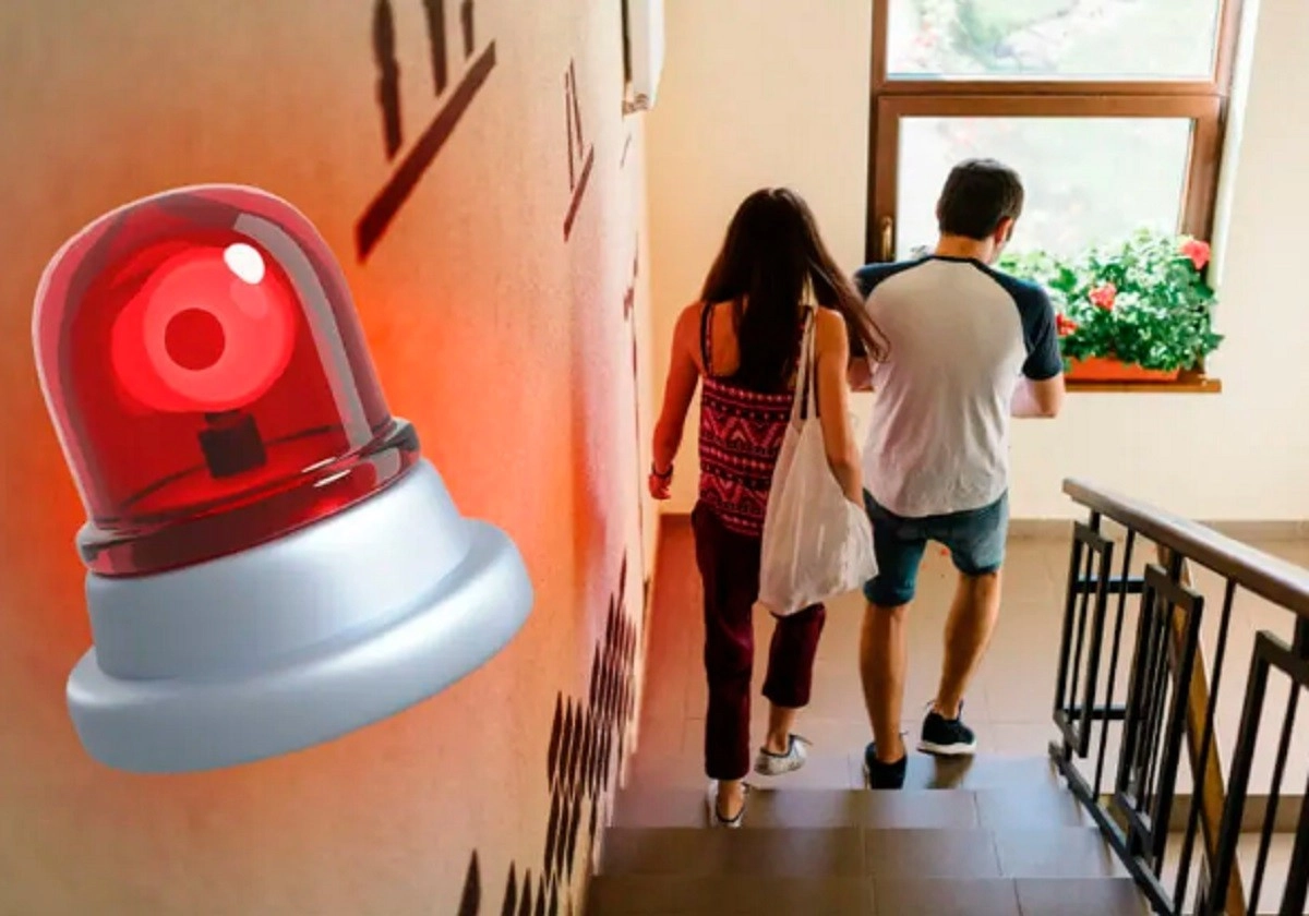 Фото: freepik/shutterstock