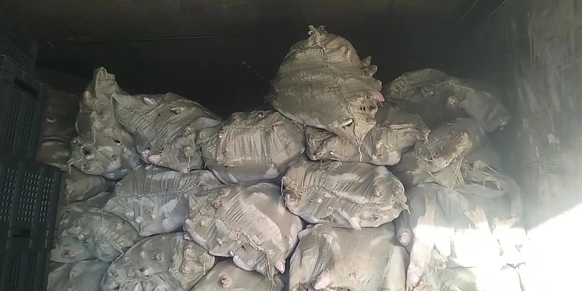 Кадр из видео