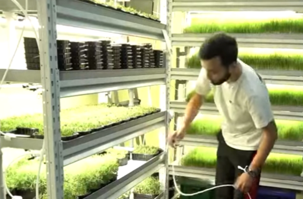 Фото: кадр из видео