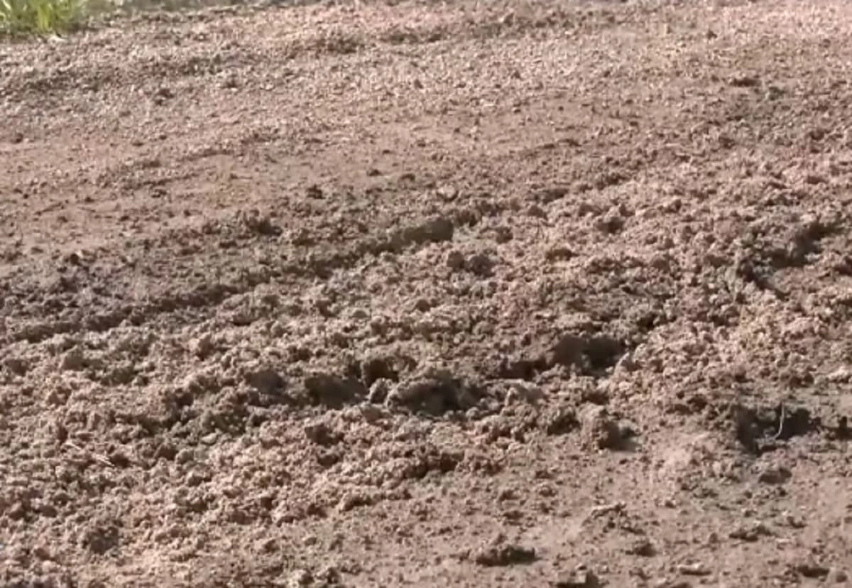 Кадр из видео