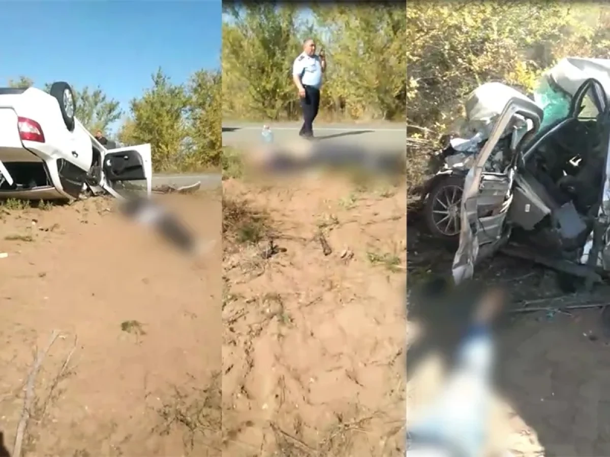 Фото: Мой город