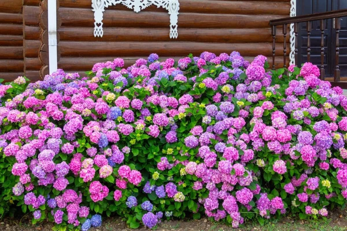 Фото: depositphotos.com