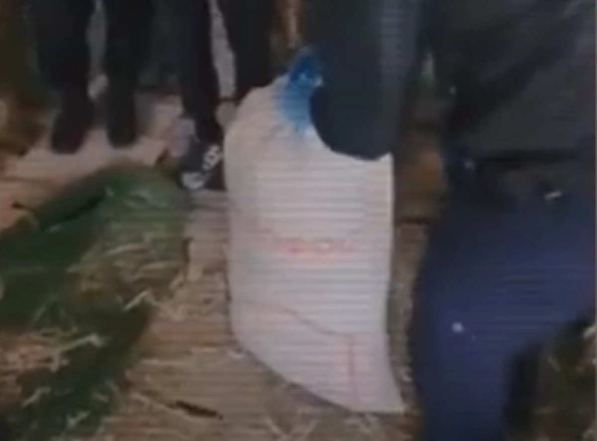 Кадр из видео Polisia.kz