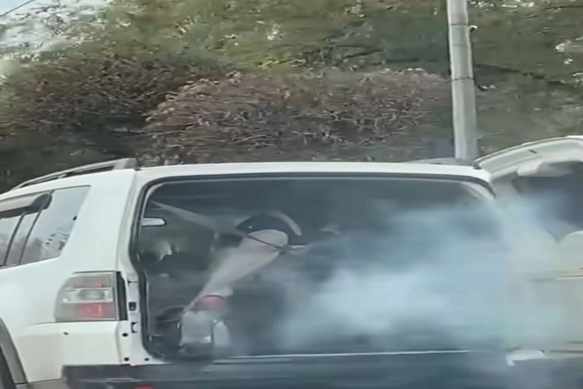 Фото: скриншот из видео