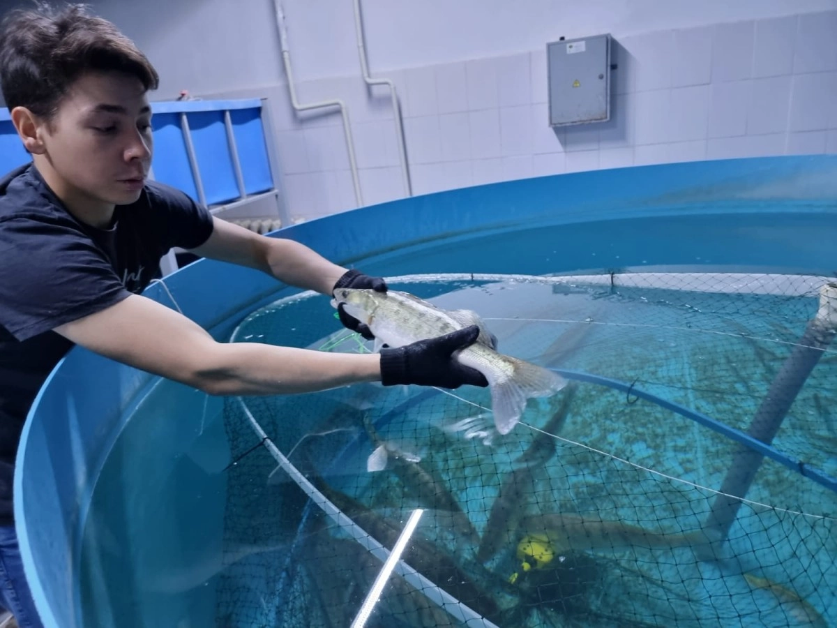 Пресс-служба КазАТИУ имени С.Сейфуллина