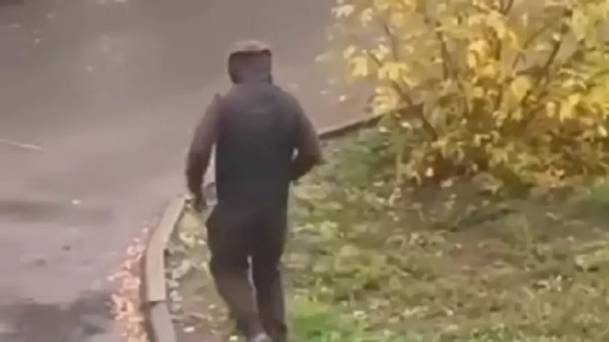 Кадр из видео