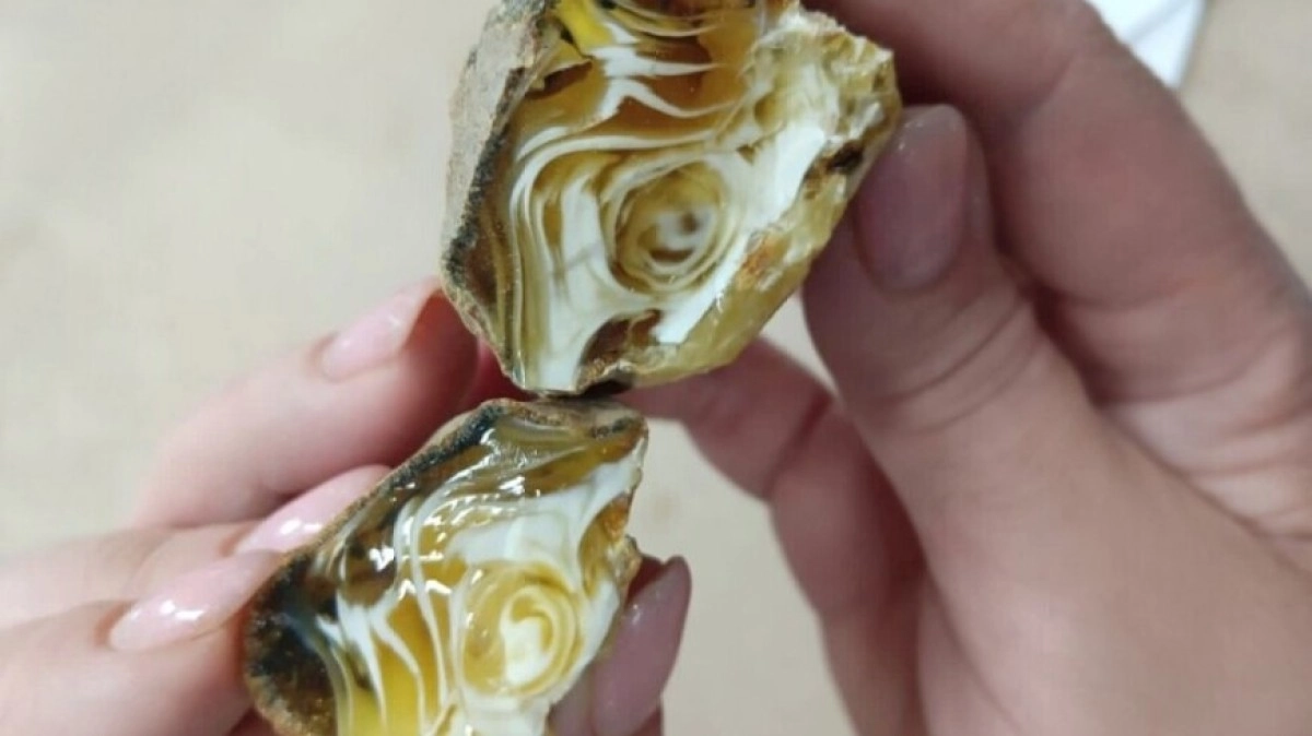 Фото: пресс-служба Калининградского янтарного комбината