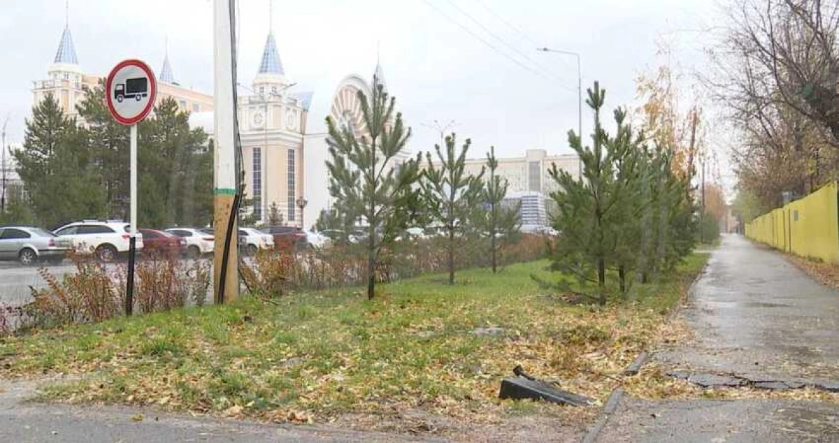 Фото: alau.kz
