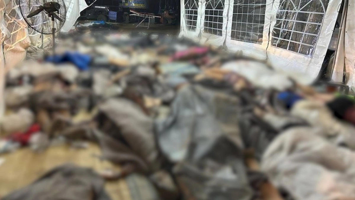 Фото: Соцсети