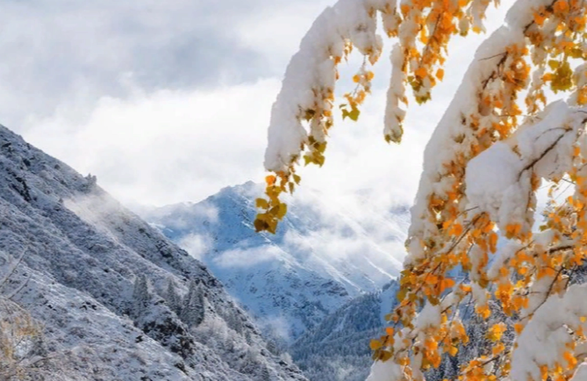 Фото: Instagram/@dots_foto