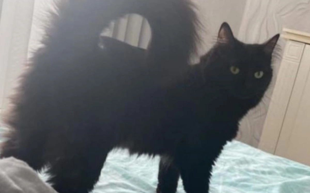 Фото Анастасии Самородовой