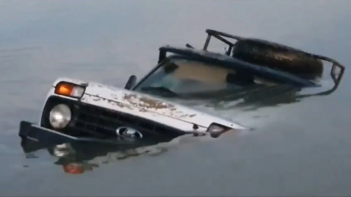 Фото: скриншот из видео