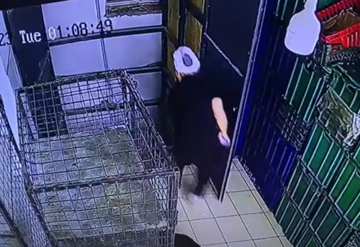 Кадр из видео