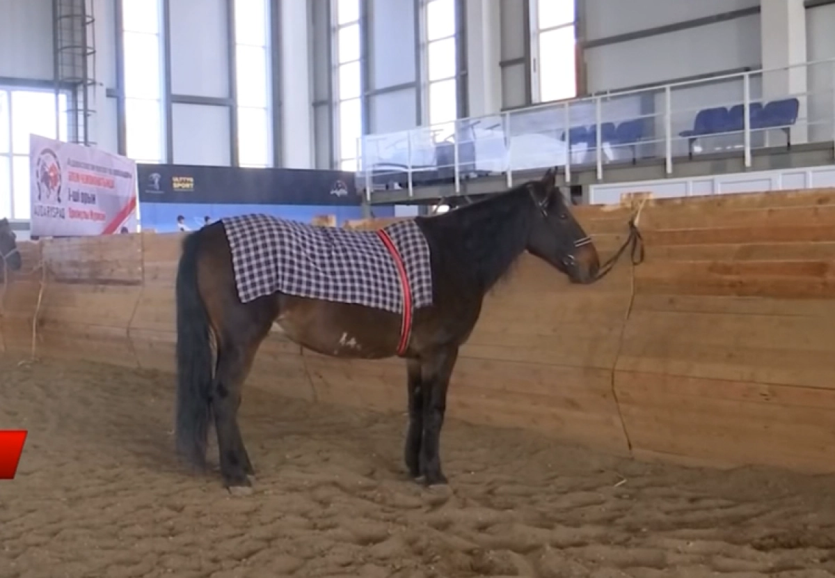 Кадр из видео/ КТК