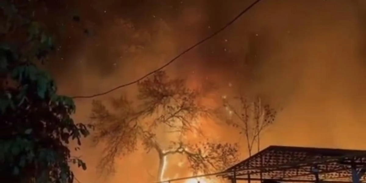 Кадр из видео