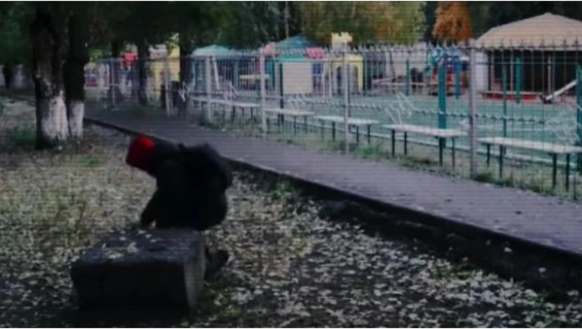 стопкадр с видео МВД РК