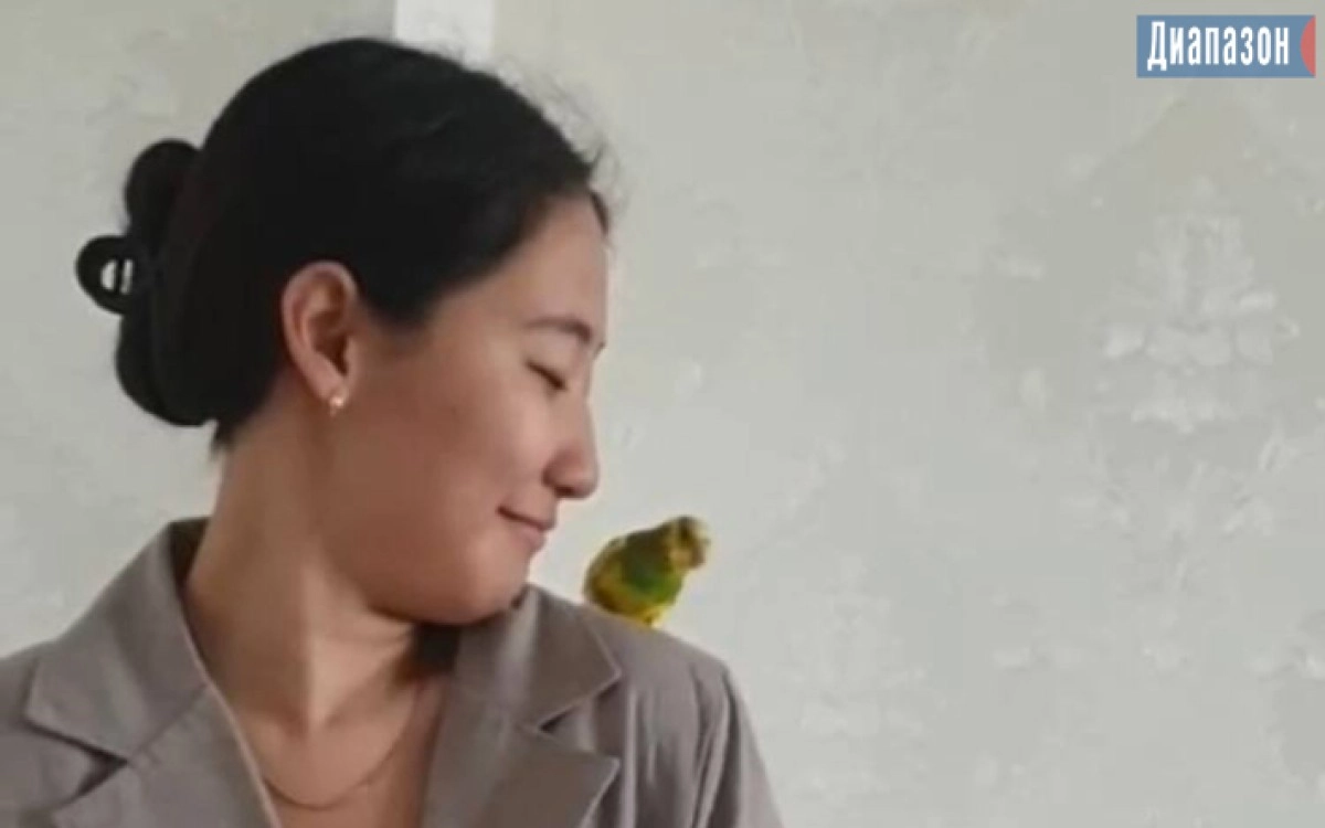 Фото: кадр из видео