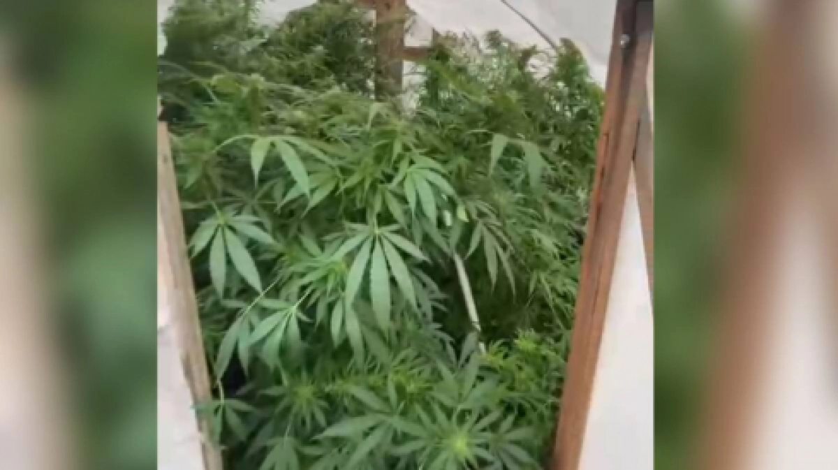 Фото: Polisia.kz