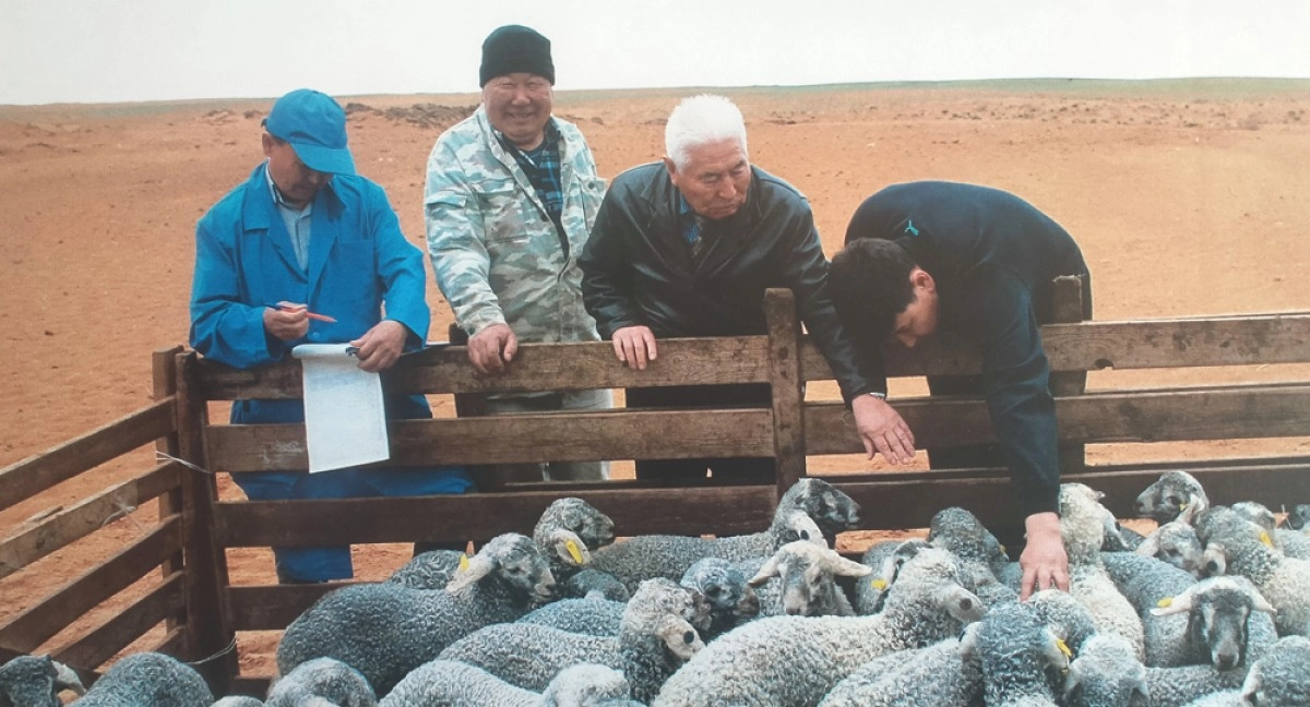 Фото автора