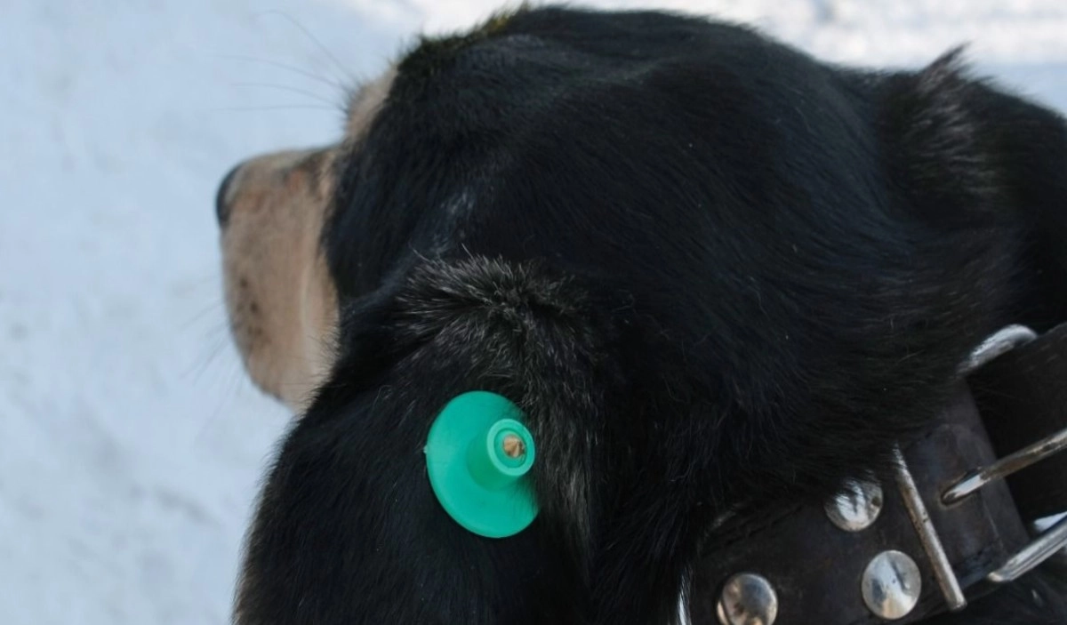 Фото: пресс-служба акимата Алматы