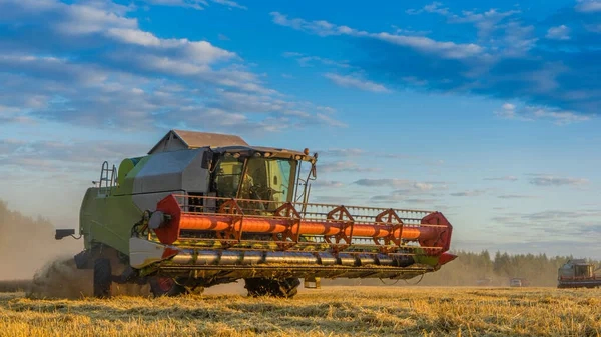 Фото: depositphotos.com