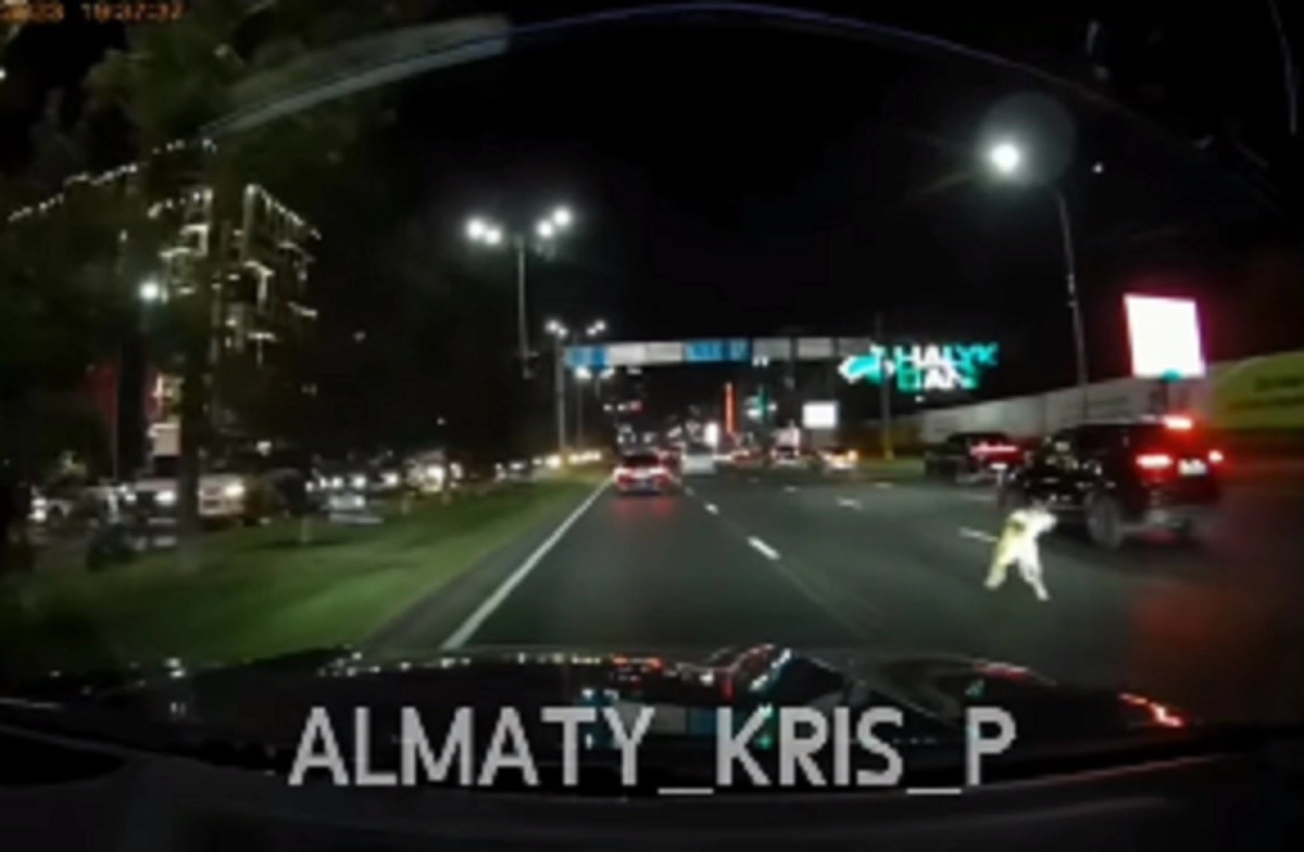 Кадр из видео