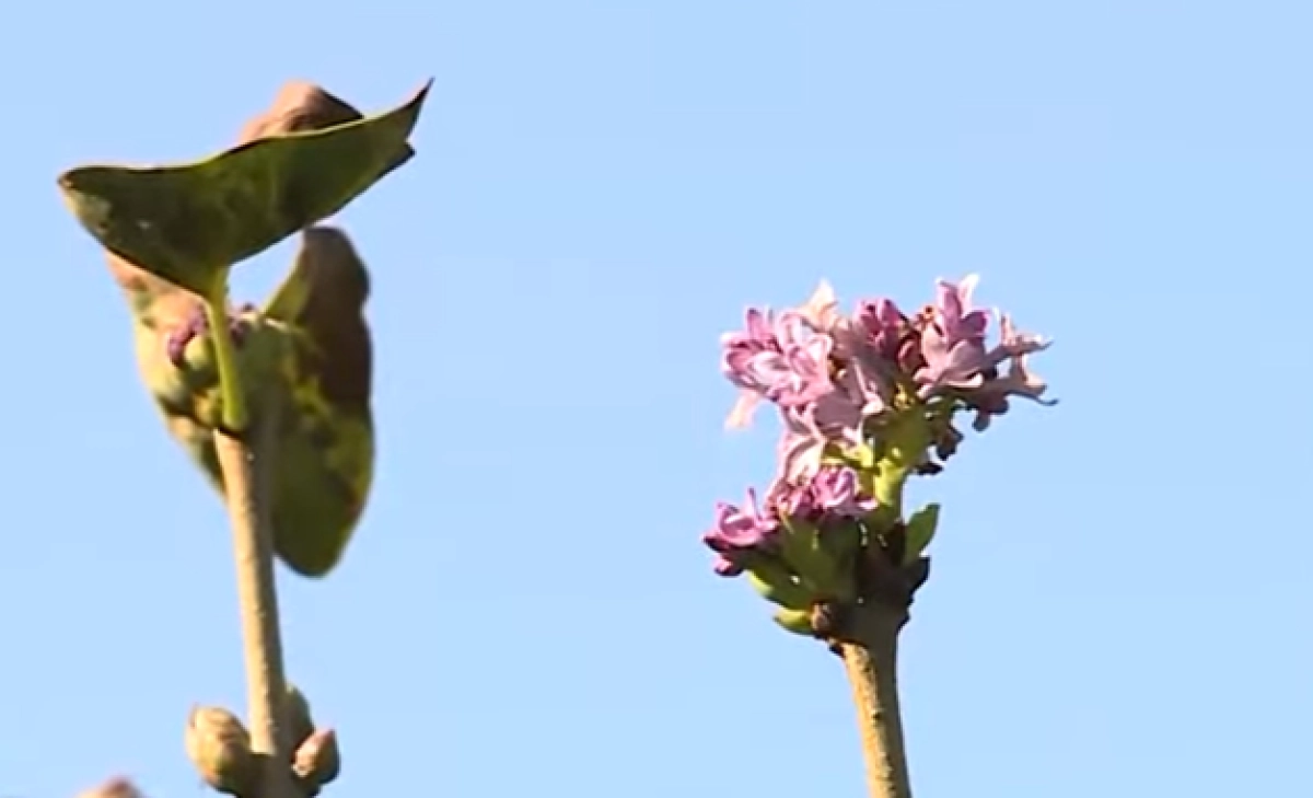 Кадр из видео/ Хабар 24