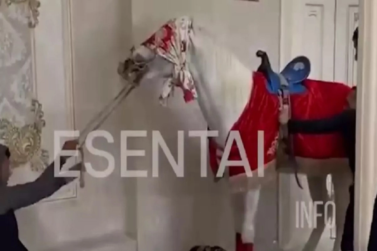 Фото: скриншот видео